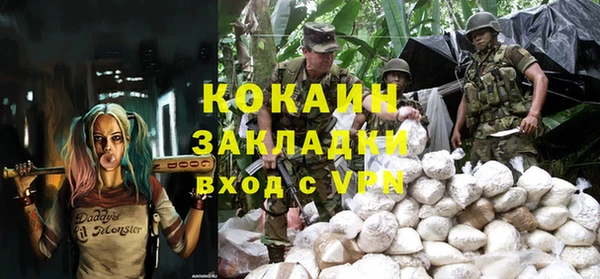 хмурый Новозыбков