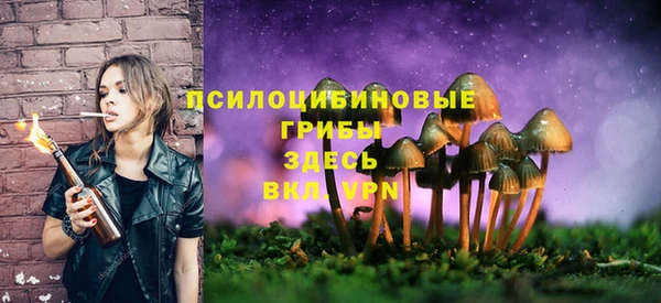 MDMA Premium VHQ Новодвинск