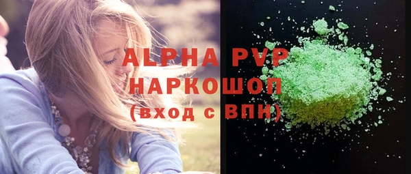 хмурый Новозыбков