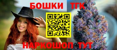 СК Дубна