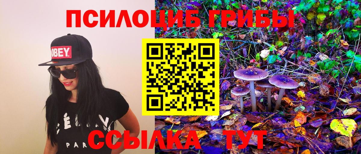 Псилоцибиновые грибы Cubensis  Галлюциногенные грибы MAGIC MUSHROOMS  Муравленко  Вход с VPN 